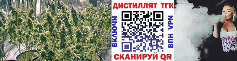 Дистиллят ТГК гашишное масло Афипский